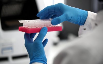 Египет въвежда изискване за QR код в сертификата за PCR тест