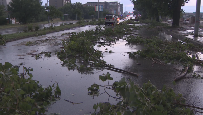 Проливен дъжд и градушка в Пловдив, дърво се стовари върху кола