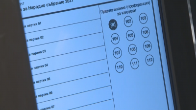 Подготовката за изборите през погледа на българите в чужбина