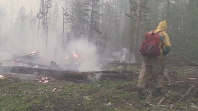 Мащабни горски пожари в Русия - над 400 активни огнища