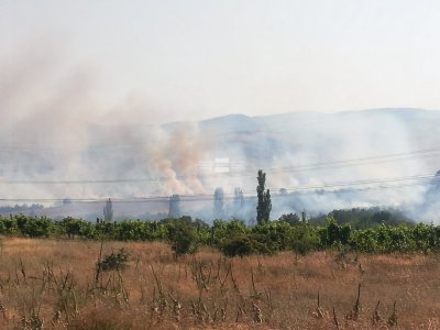 Локализират се огнищата на пожара в село Бучино вече няма