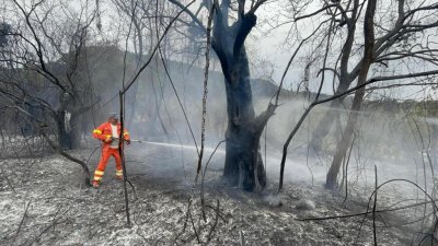 Обявиха извънредно положение в Сардиния заради горски пожари
