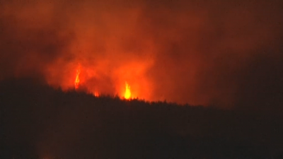 Голям пожар в Свиленградско Гори 2000 дка борова гора между