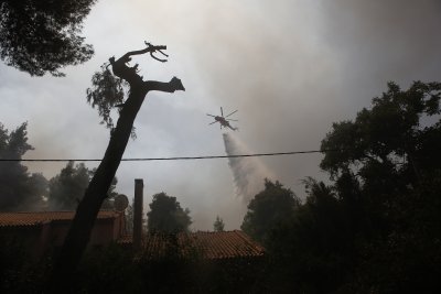 Разследват умишлен палеж на горски пожар край Атина