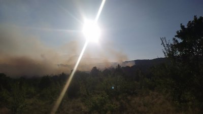 Ликвидиран е горският пожар в землището на село Кръстевич където