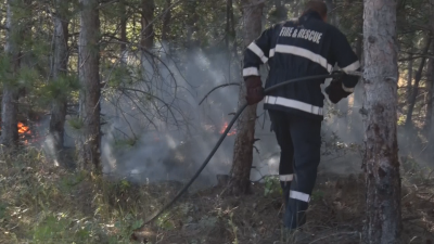 Овладян е големият среднощен пожар който заплашваше пловдивското село Кадиево