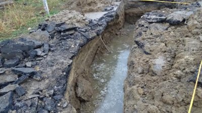 Комитова: Водните дружества нямат интерес да намаляват загубите на вода