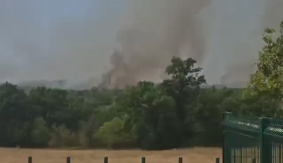 Пожар гори между Хисар и село Черничево