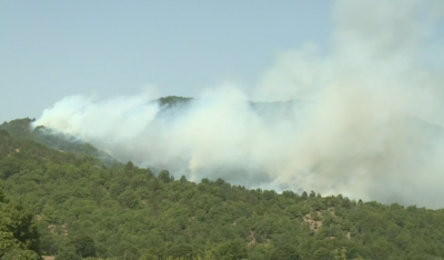Пресечен е пожарът до границата с Република Северна Македония