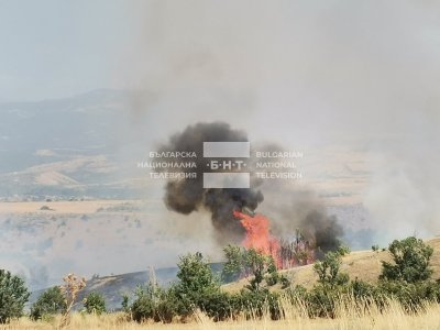 Сухи треви и храсти горят край благоевградското село Бучино Огънят