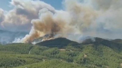 Втори ден огромен горски пожар бушува в турската област Анталия