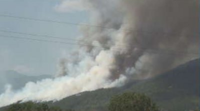 Пожарът край Розино е почти локализиран, няма опасност за населението