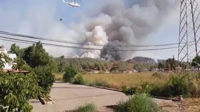 Вече седмица Турция се бори с унищожителни горски пожари