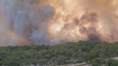Няма данни за пострадали или бедстващи български граждани при пожара