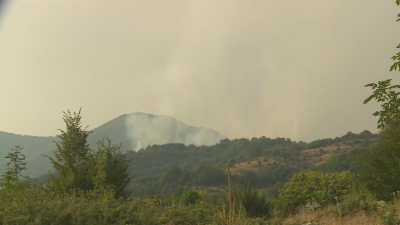Огънят в санданското село Петрово се разгоря отново Пожарът вече