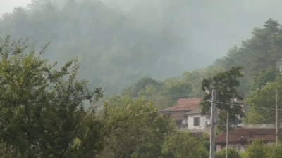 Голям пожар бушува в Карловско Гори над 500 декара борова