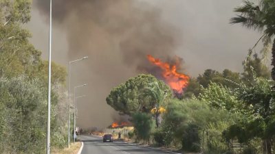 Голям пожар гори на Пелопонес