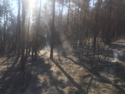 Потушиха пожара във вилната зона Воден камък в Хисарско Огънят обхвана