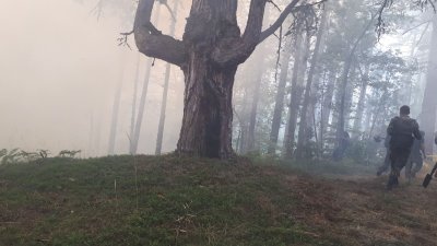 Продължава потушаването на горския пожар над родопското село Югово През