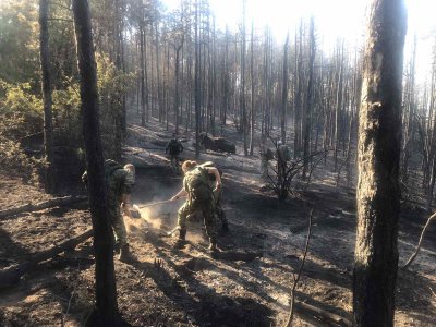 Екипи на огнеборци и военни остават на терен заради пожара край село Михилци (СНИМКИ)