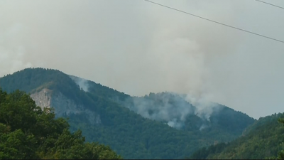 Пожарът над село Югово в Родопите се разраства Възникнало е
