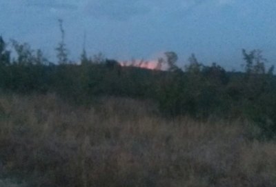 Пожарникари и горски служители локализираха голям пожар в Хисарско Сигналът е