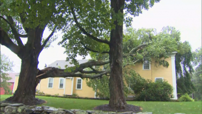 Хиляди домакинства в САЩ са без електричество заради урагана Хенри
