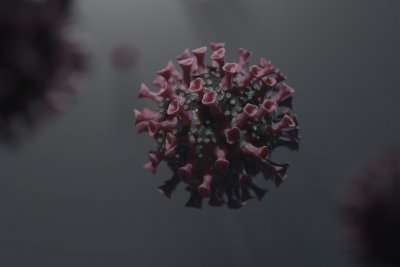 Жертвите на коронавируса в глобален мащаб вече са над 4