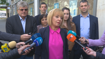 Мая Манолова поиска оставка на ръководството на държавните енергийни дружества