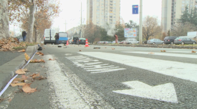 Кола блъсна мъж на пешеходна пътека в Бургас