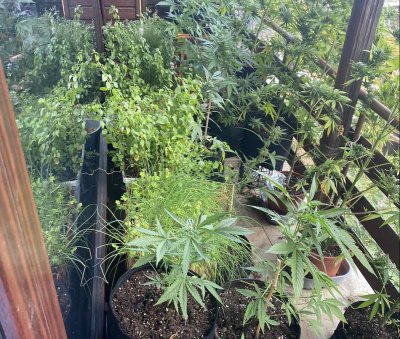 Мобилна лаборатория за производство на синтетични наркотици и миниферма за