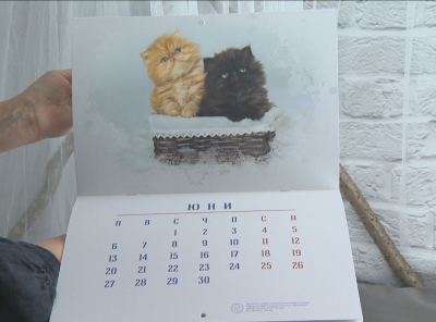 Календар с котета събира средства за деца с онкохематологични заболявания