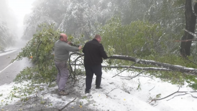 Сняг през октомври: 10 см покривка на Петрохан и опасност от падащи дървета