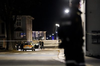 Няма пострадали българи при атаката с лък в Норвегия, нападателят е задържан