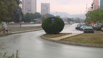 Във Варна пътен знак маскиран като храст указва задължително движение
