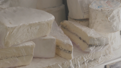 Камамбер срещу моцарела: Как се променя вкусът за сирене на французите?