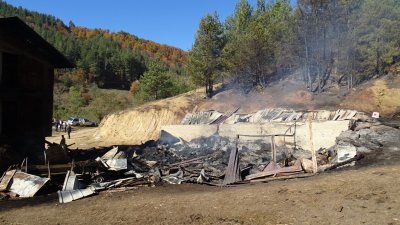 20 крави и тонове фураж изгоряха при пожар в Якоруда (СНИМКИ)