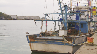В Деня на Черно море 31 октомври две рибарски сдружения