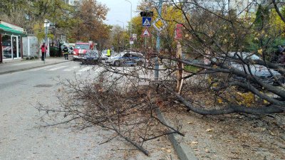 Трима пешеходци са в болница, след като джип се вряза в дърво в Пловдив