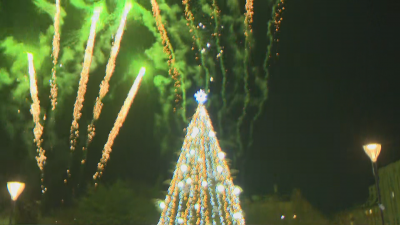 В столицата пред НДК грейнаха светлинките на Коледната елха Тя е