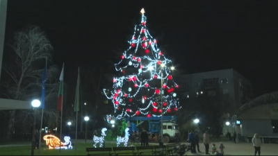 В Димитровград украсиха най-високото живо коледно дърво в Европа