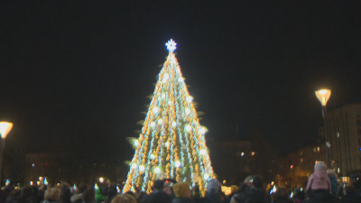 Празничната елха в София грейна с 10 000 лампички в
