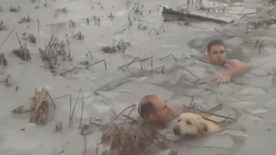Спасиха давещо се в ледено езеро куче