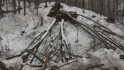Сняг в Сърбия - непроходими пътища и селища без ток