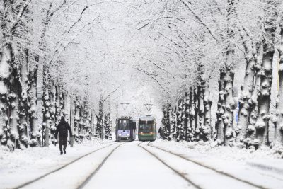 Във Финландия се радват на дълбок сняг и времето не