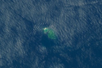 Цунами връхлетя тихоокеанския архипелаг Тонга след изригването на подводен вулкан