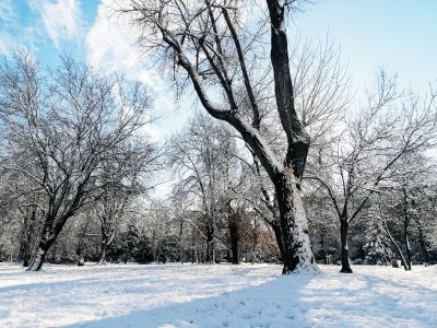 Снежна покривка ще се образува в много райони на страната до сутринта