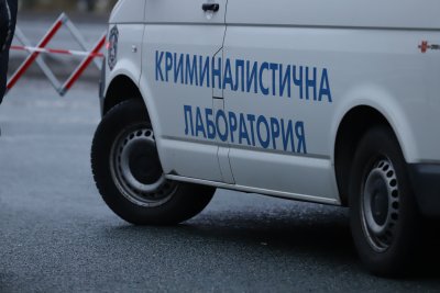 Инцидент в Ново село: Откриха мъртва жена, нахапана от кучета