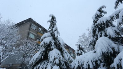 Във Врачанско са без ток заради зимната обстановка, във Велико Търново няма парно