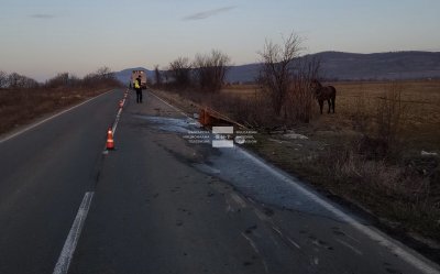 Жена загина при катастрофа между ТИР и каруца на пътя Руен-Просеник